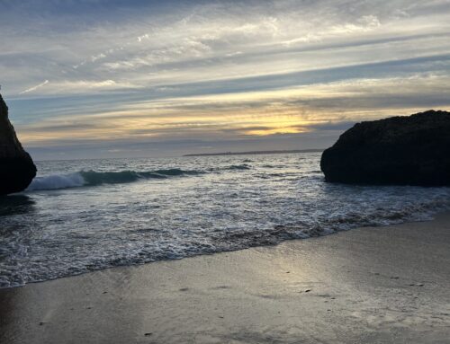 How is the pandemic affecting the way people date?